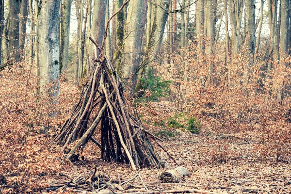 나뭇가지로 오두막이야 — 스톡 사진