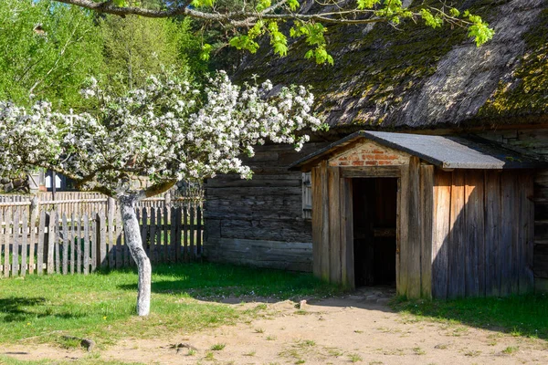 Wdzydze Kiszewskie Polen Mai 2022 Reetgedeckte Hütte Kaschubischen Ethnographischen Park — Stockfoto