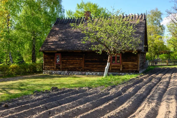 Wdzydze Kiszewskie Польща Травня 2022 Homestead Kashubian Ethnographic Park Wdzydze — стокове фото