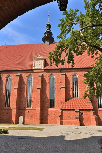 Cathedral Complex Frombork Historical Monument Museum Medieval Buildings Nicolaus Copernicus —  Fotos de Stock