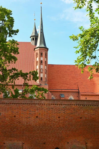 Cathedral Complex Frombork Historical Monument Museum Medieval Buildings Nicolaus Copernicus — Fotografia de Stock