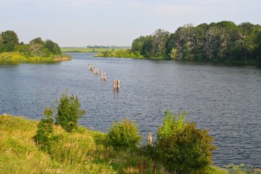 Vistula river in Poland, summer landscape of the river and surrounding vegetation
