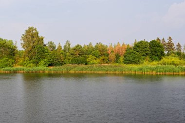 Szkarpawa River in summer. View from The Gdanska Glowa Watergate in Drewnica