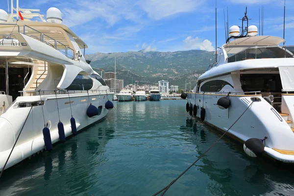 Karadağ 'ın Adriyatik kıyısındaki Dukley Marina Budva' da lüks yatlar