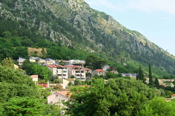 Huizen Heuvel Het Pittoreske Stadje Kotor Montenegro Europa — Stockfoto