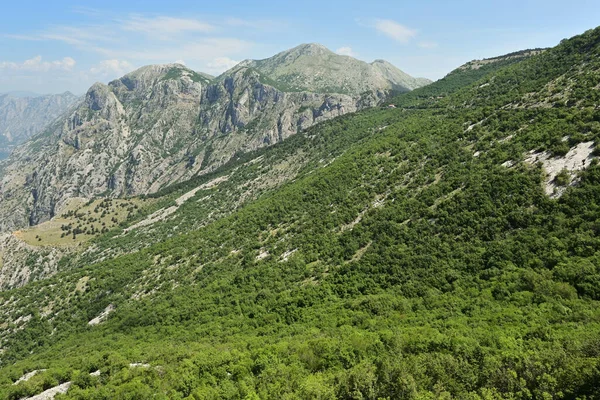 Berglandschap Het Lovcen Nationaal Park Montenegro — Stockfoto