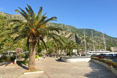 Kotor, Karadağ - 7 Haziran 2022: Kotor kentinin merkezinde deniz kenarında gezinti. Karadağ