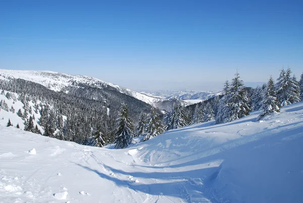 Verschneite Schlucht in den Bergen Serbiens — Stockfoto