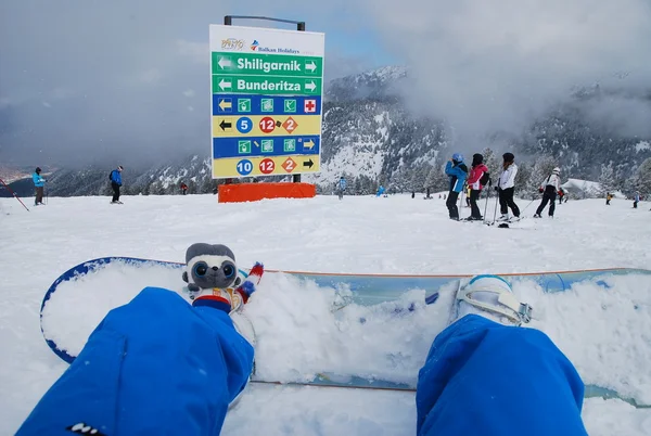 Κερκοπίθηκος παιχνίδι στην πλαγιά ενός λόφου κοντά στο μπροστινό μέρος του δείκτη στις πίστες στο χιονοδρομικό κέντρο του Μπάνσκο στη Βουλγαρία — Φωτογραφία Αρχείου