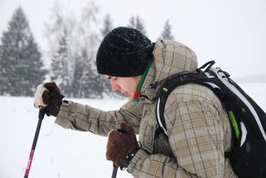 New Year's Eve yolculuk bir Noel ağacı karla kaplı alanların kayak için