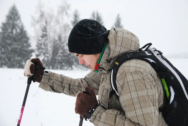 New Year's Eve trip to a Christmas tree skiing on snow-covered fields — Stock Photo, Image