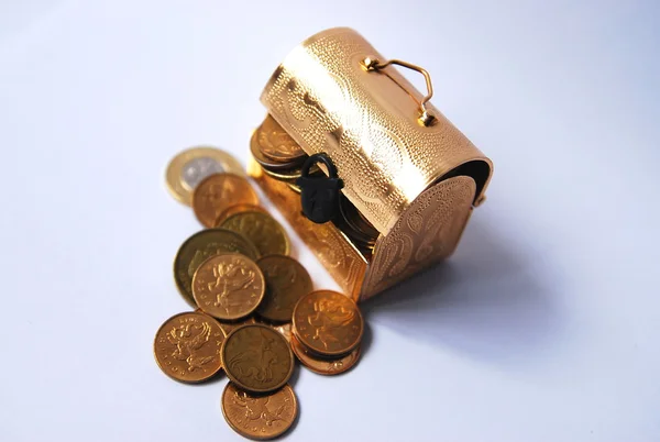Netjes gerangschikt munten en gouden munten gevonden in de trunk — Stockfoto