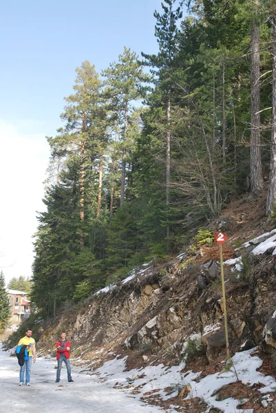 Zwei Jungs posieren beim Wandern in den Bergen im Skigebiet von Bansko in Bulgarien. — Stockfoto