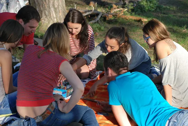 Grupos de jovens jogam jogos de tabuleiro DURING Camping Imagem De Stock