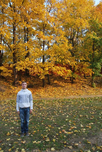 Porträt auf gelbem Herbstlaub von Bäumen — Stockfoto