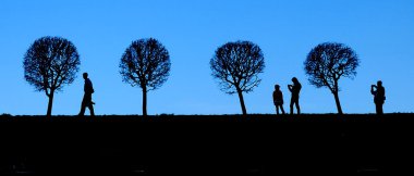 tek renkli resimde waterfront körfezde peterhof, Finlandiya