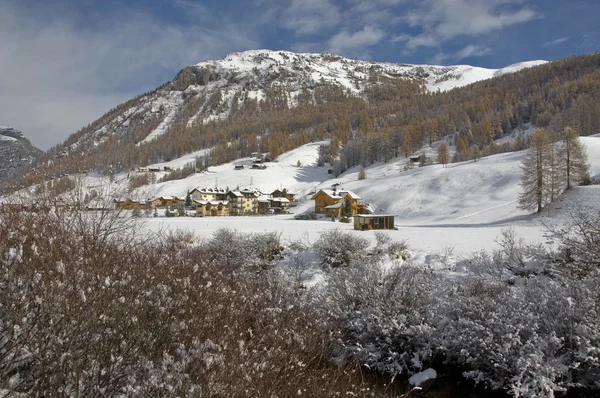 Paisaje en la nieve — Foto de Stock