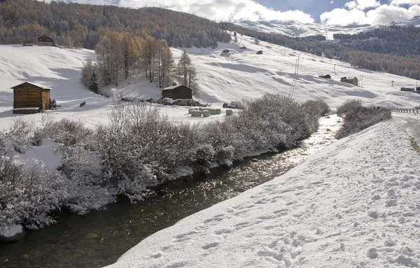 Winter landscape — Stock Photo, Image