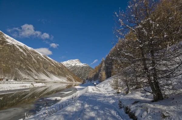 Snowly krajina Stock Obrázky