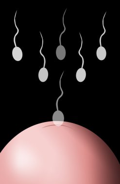 inseminasyon