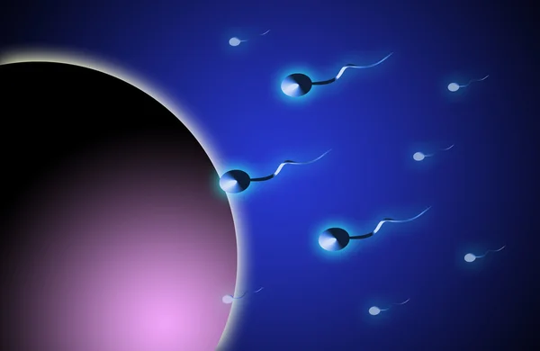 Оплодотворение сперматозоидом — стоковое фото