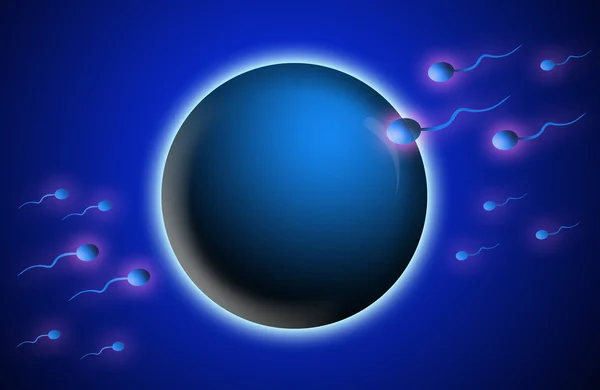 Insemination with spermatozoon — Stock Photo, Image
