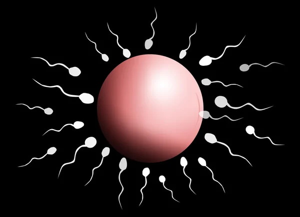 Insemination — Stock Photo, Image