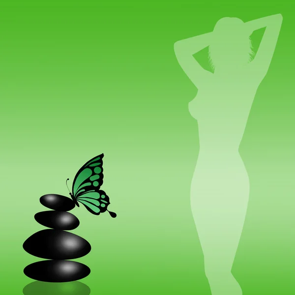 Steen met vlinder voor wellness — Stockfoto