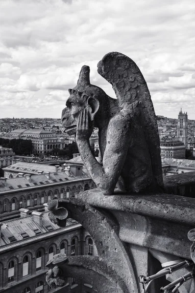 Notre dame Katedrali — Stok fotoğraf