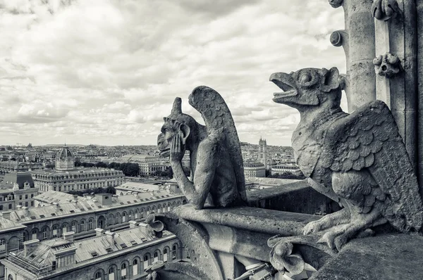 Catedral de Notre Dame —  Fotos de Stock