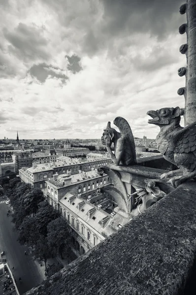 Kathedrale von Notre Dame — Stockfoto