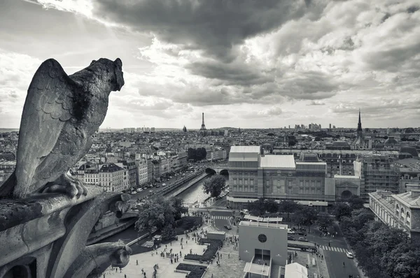 Notre dame Katedrali — Stok fotoğraf