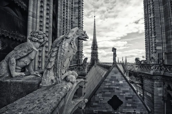 Catedral de Notre Dame — Foto de Stock