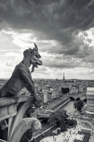 Notre dame-katedralen — Stockfoto