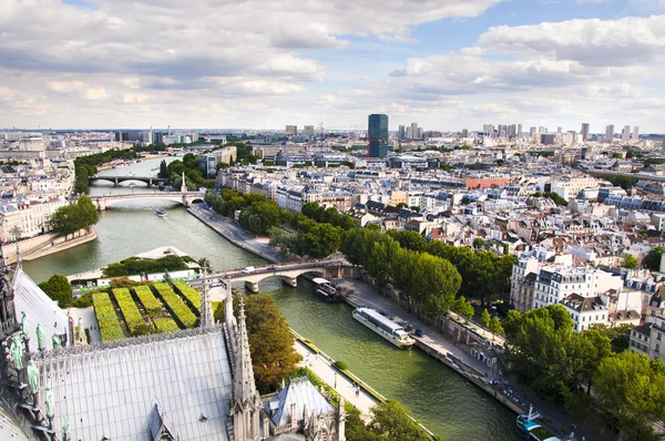 Paris från notre dame-katedralen — Stockfoto