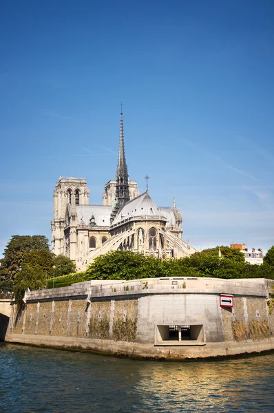 Catedral de Notre Dame en el Sena — Foto de Stock