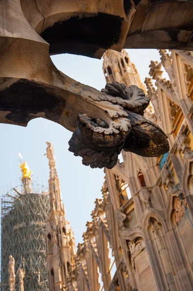 Duomo milan ayrıntı — Stok fotoğraf