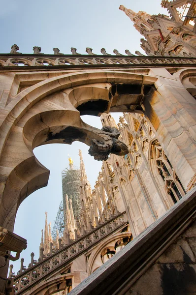 Duomo milan ayrıntı — Stok fotoğraf