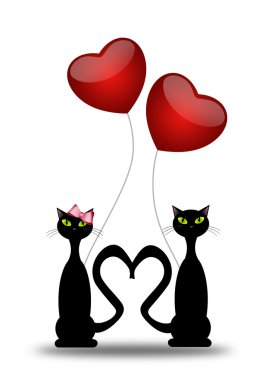 İki aşık kedi.