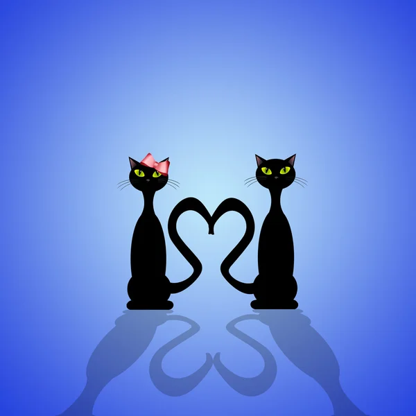 两只恋爱中的猫 — 图库照片#