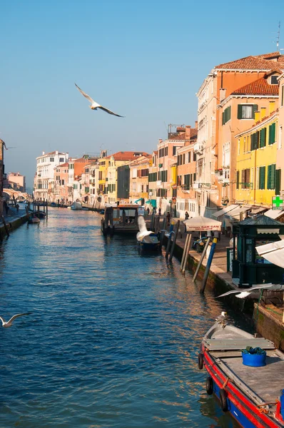 View of Venice — Stock Photo, Image
