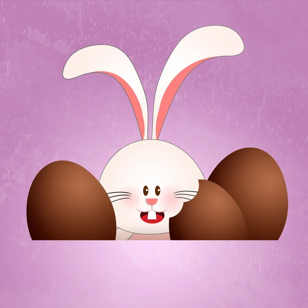 Bunny with chocolate Easter eggs — Stock Photo, Image