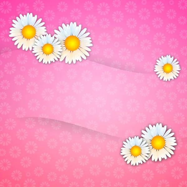 Hintergrund mit Gänseblümchen auf rosa Hintergrund — Stockfoto