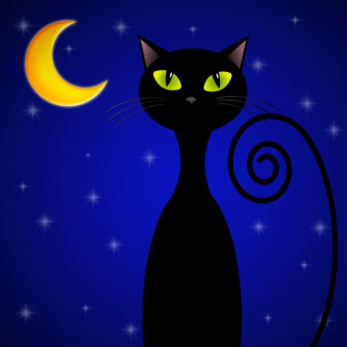 ay ışığı, kedi