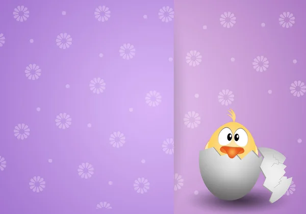 Chick in ei voor Pasen achtergrond — Stockfoto
