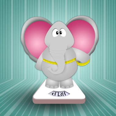 kilo kaybı için fil