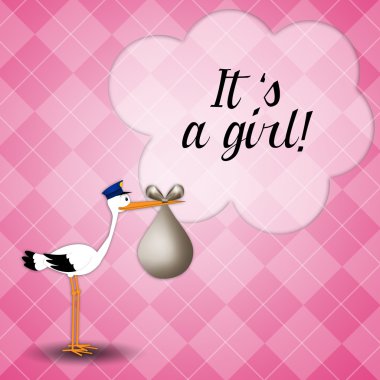 kız bebek yenidoğan için teslim leylek