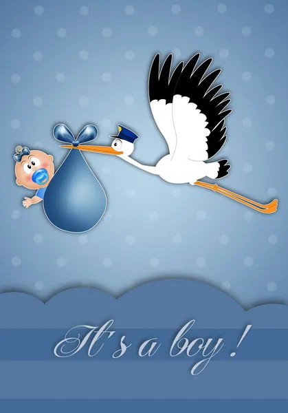 Stork with baby boy for newborn — Stock Photo, Image