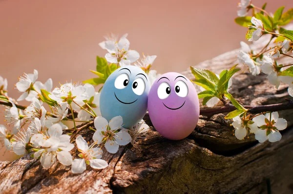 Ovos engraçados para a Páscoa feliz — Fotografia de Stock