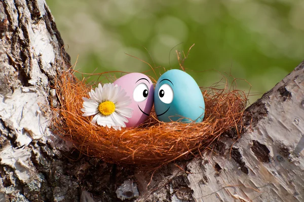 两个鸡蛋在复活节的窝 — 图库照片